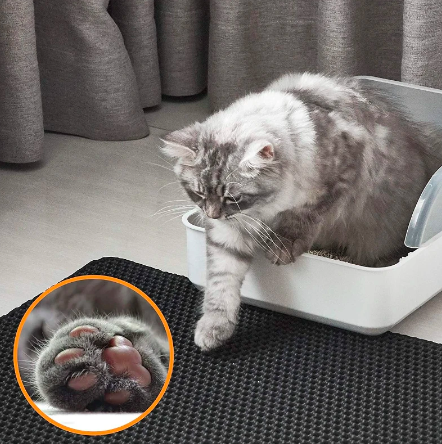 Double-layer cat litter pad, waterproof non-slip filter, washable.