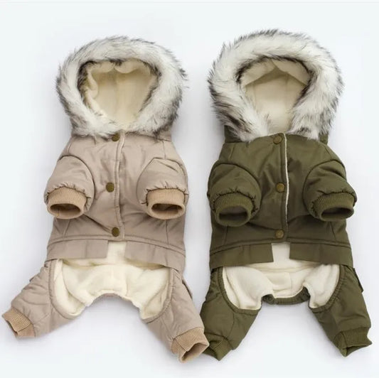 Manteau d'hiver chaud vert pour chien