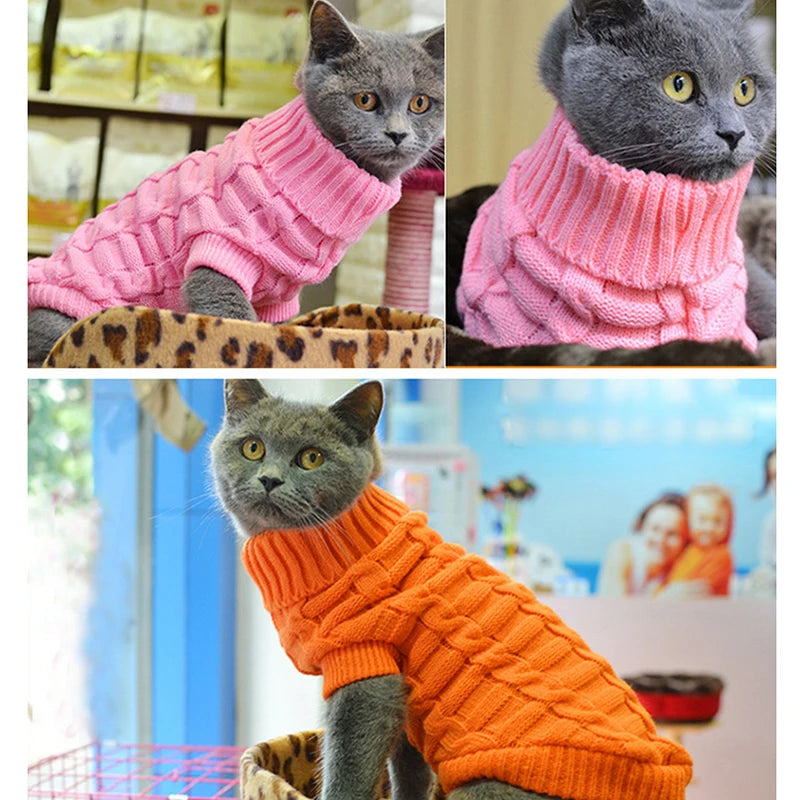 Ropa para gatos, chaleco pura de algodón