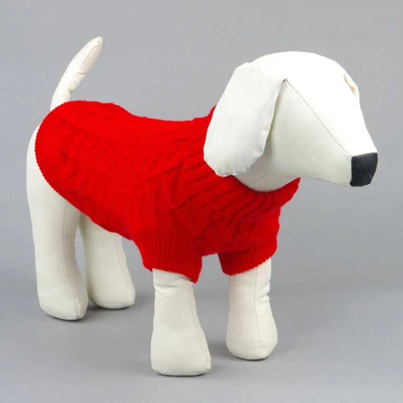 Warm dog clothes.