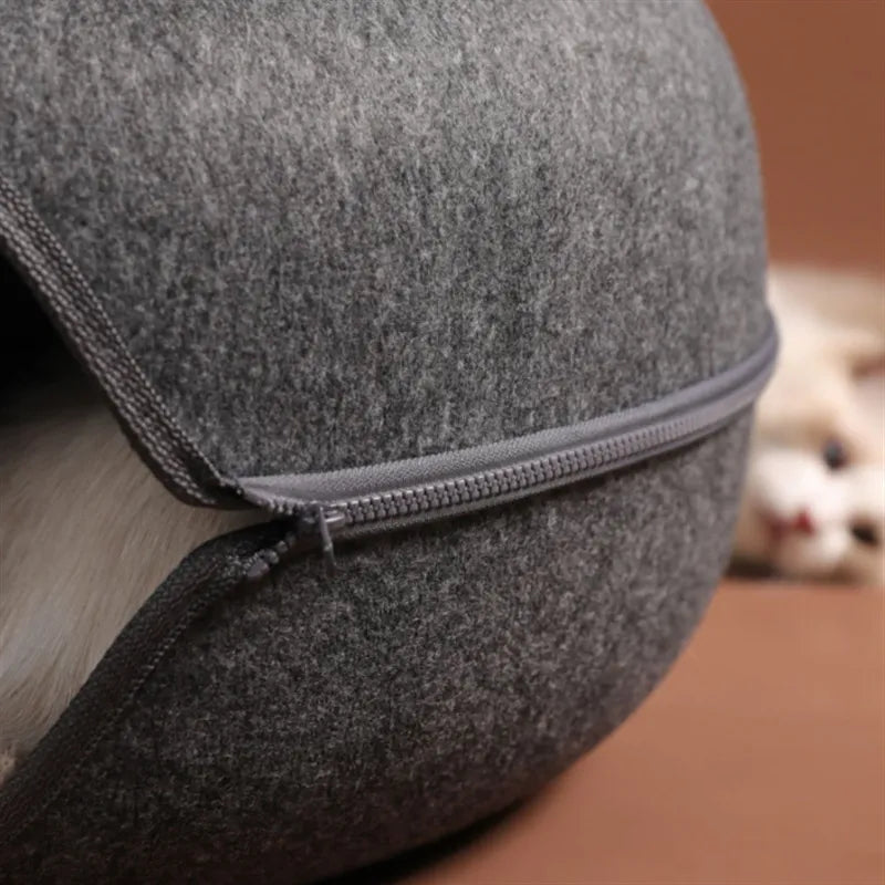 Cama interactiva para gatos