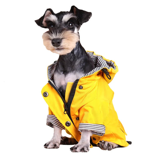 Chaqueta para la lluvia de mascota