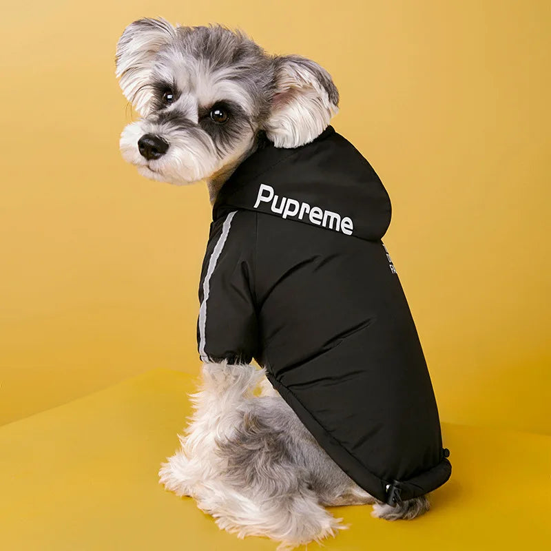 Chaqueta para mascotas