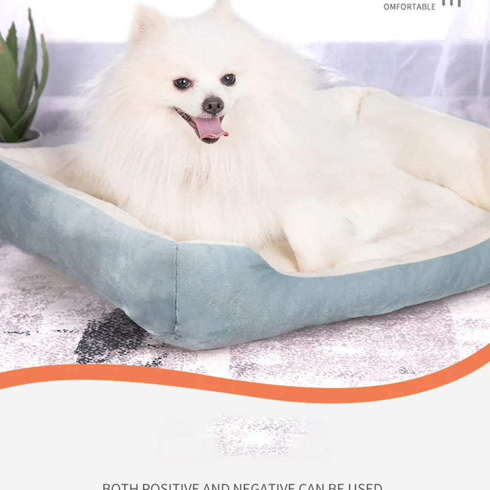 pet bed