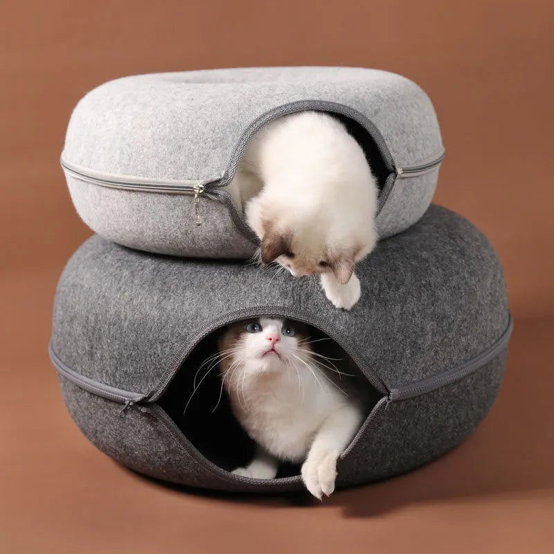 Cama interactiva para gatos