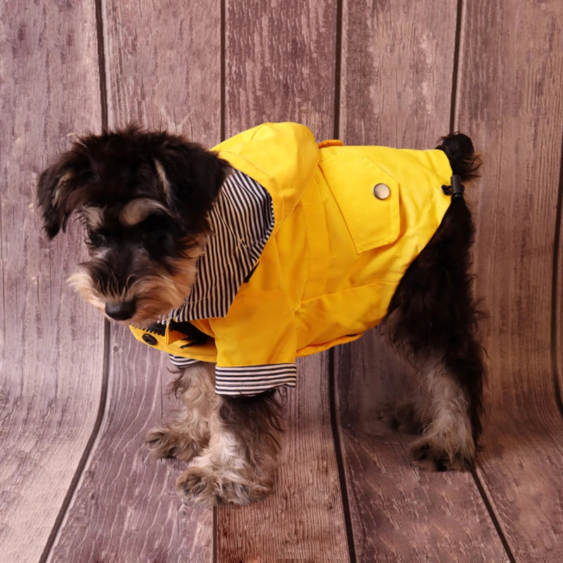 Chaqueta para la lluvia de mascota