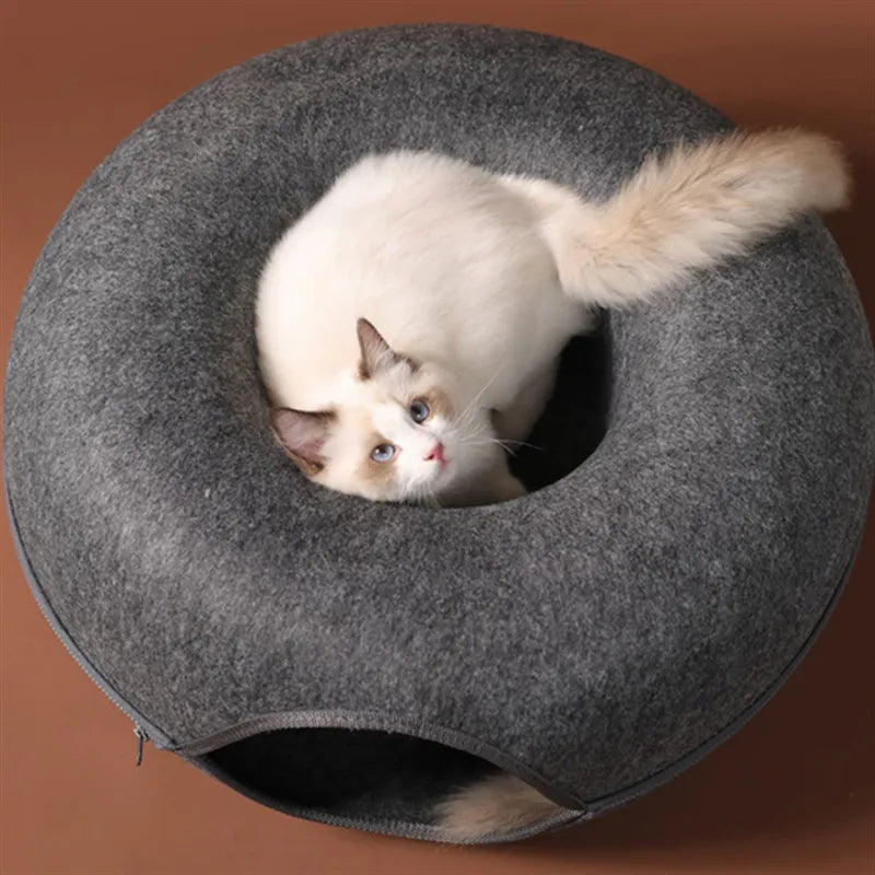 Cama interactiva para gatos