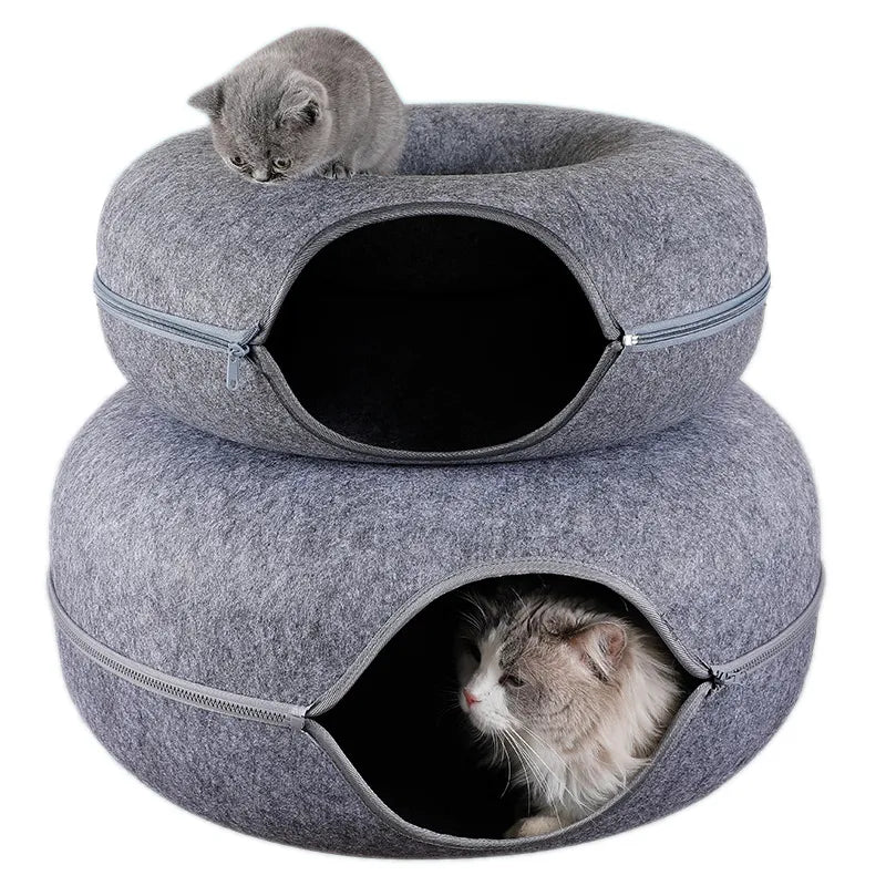 Cama interactiva para gatos