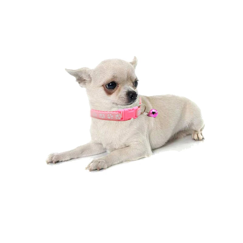 .Collars for small pets