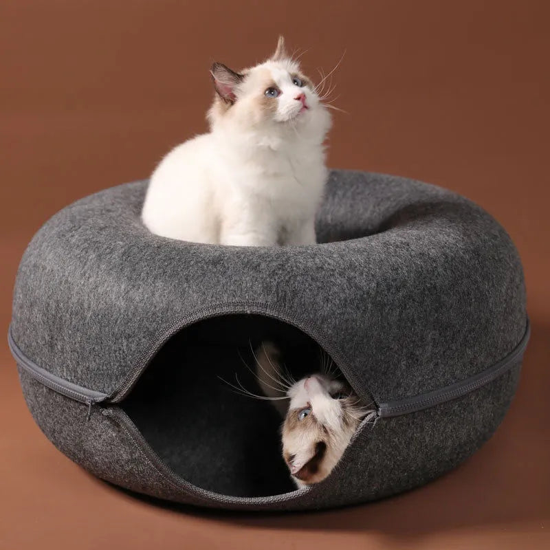 Cama interactiva para gatos