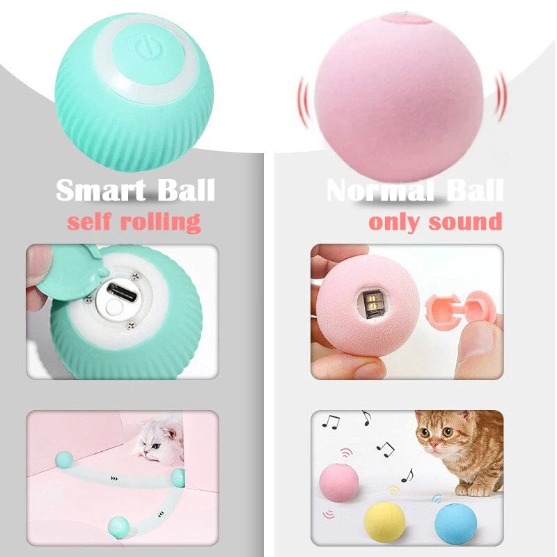 Smart electric ball or toy for cats.