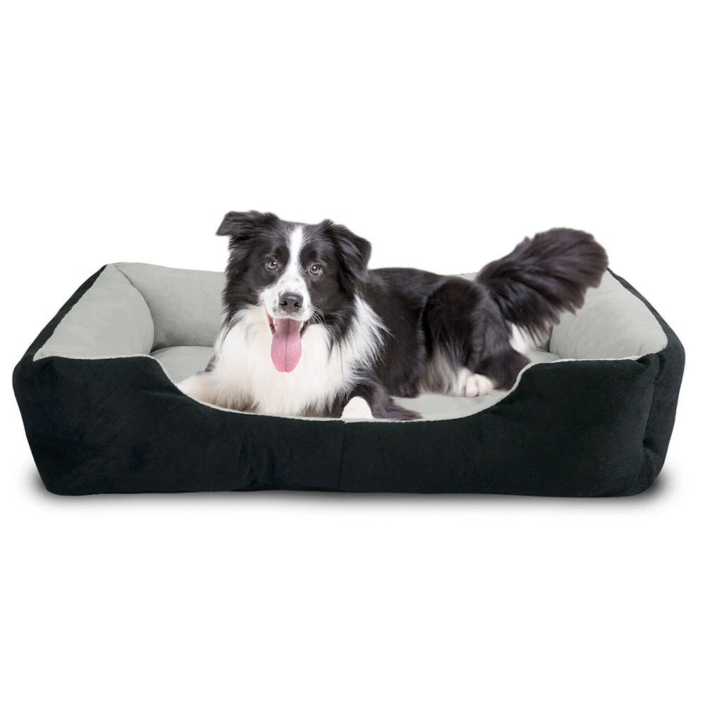 pet bed