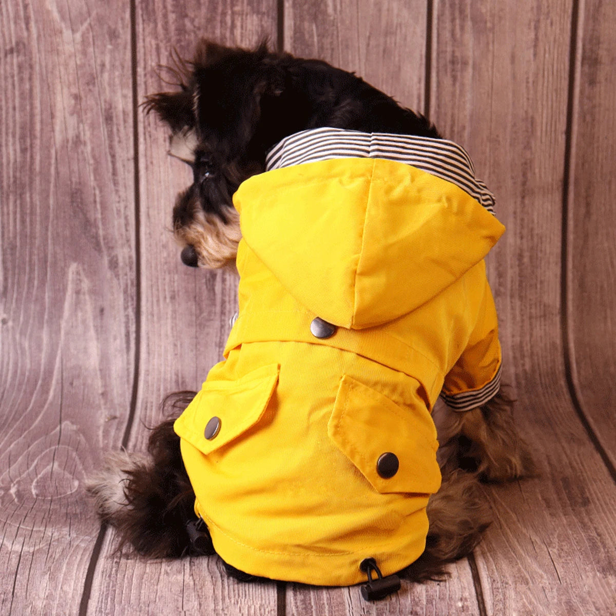 Chaqueta para la lluvia de mascota