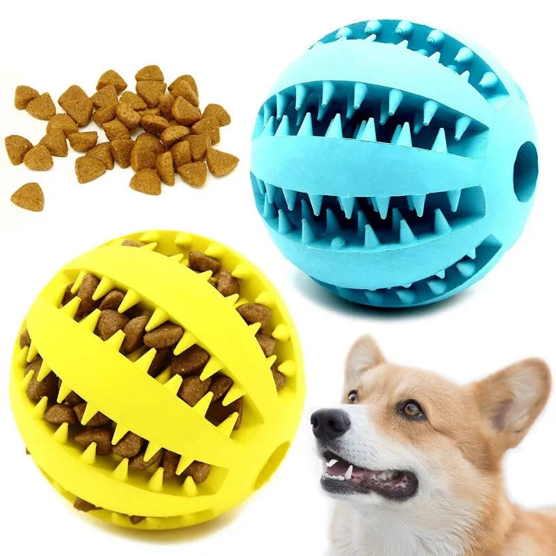 Pelota para jugar de mascota