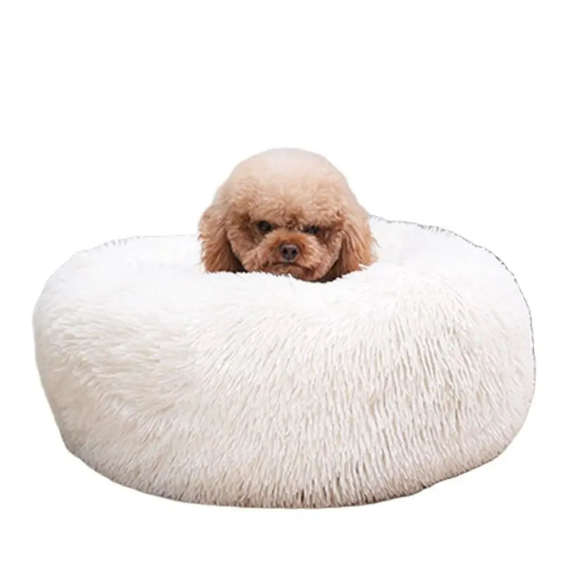 Lit pour animal de compagnie en peluche lavable