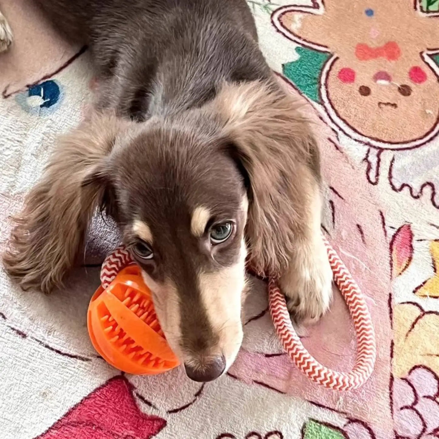 Juguete de cuerda con pelota